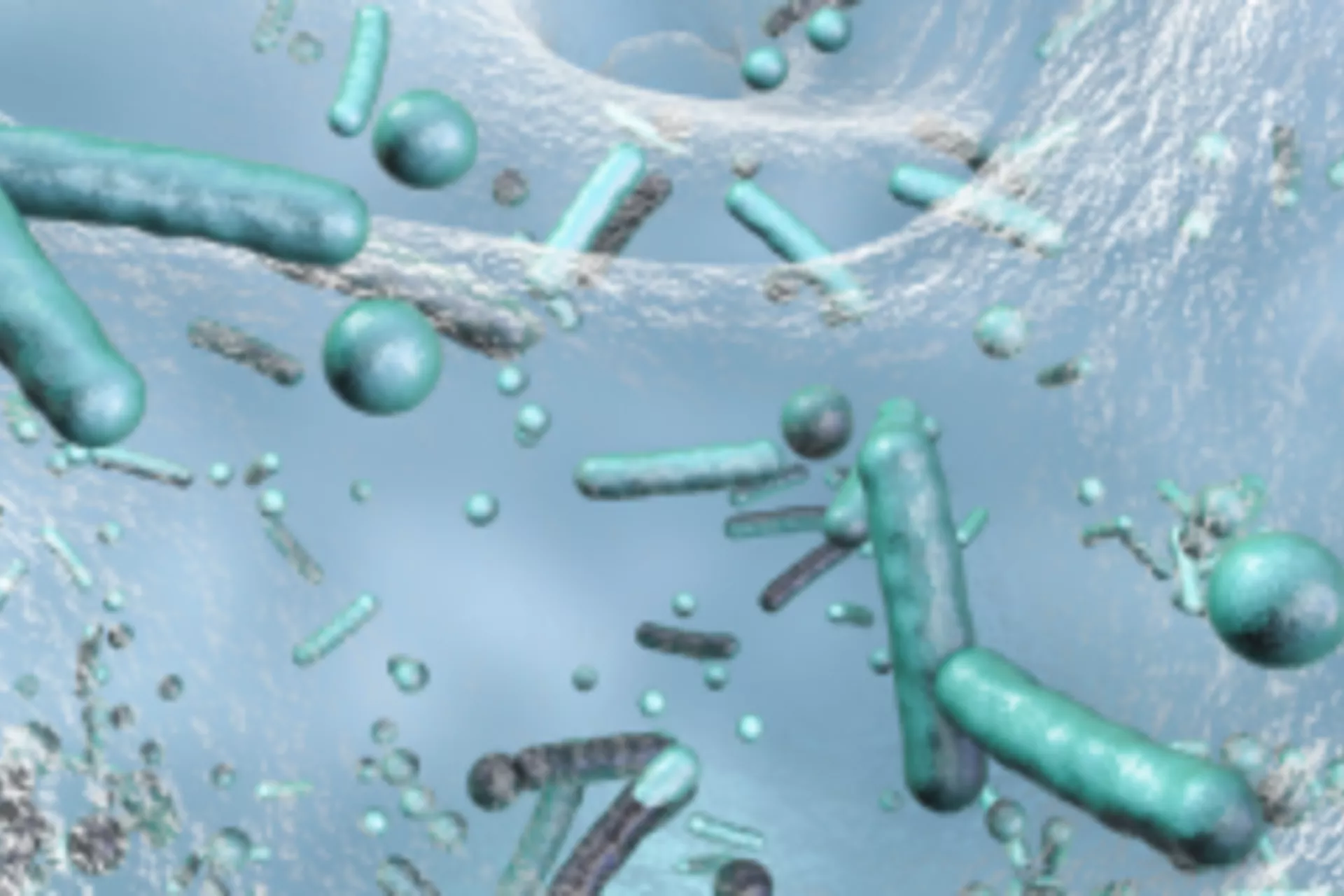 Afbeelding over Hoe voorkomt u contaminatie met biofilm in uw cleanroom?
